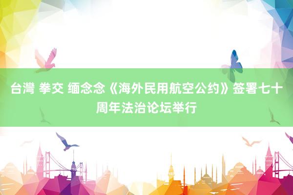 台灣 拳交 缅念念《海外民用航空公约》签署七十周年法治论坛举行