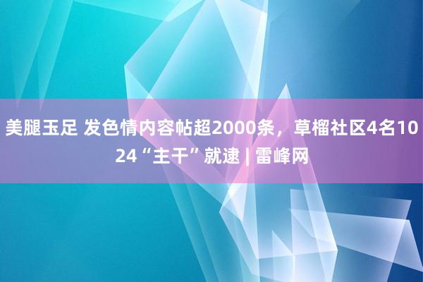 美腿玉足 发色情内容帖超2000条，草榴社区4名1024“主干”就逮 | 雷峰网