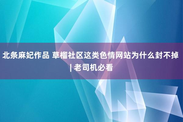 北条麻妃作品 草榴社区这类色情网站为什么封不掉 | 老司机必看