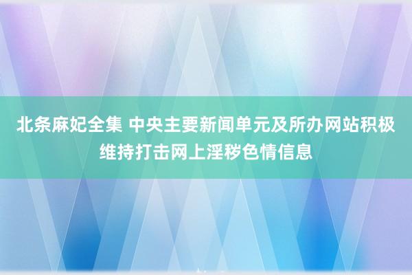 北条麻妃全集 中央主要新闻单元及所办网站积极维持打击网上淫秽色情信息