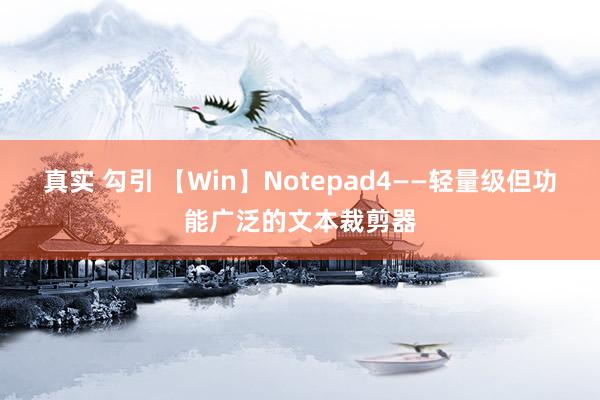 真实 勾引 【Win】Notepad4——轻量级但功能广泛的文本裁剪器