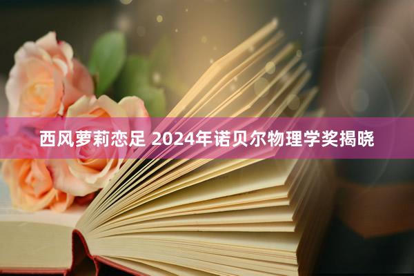 西风萝莉恋足 2024年诺贝尔物理学奖揭晓