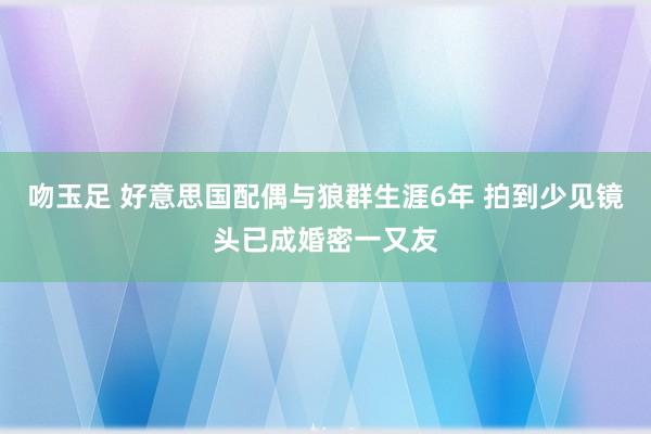 吻玉足 好意思国配偶与狼群生涯6年 拍到少见镜头已成婚密一又友