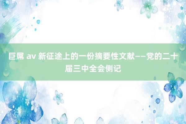 巨屌 av 新征途上的一份摘要性文献——党的二十届三中全会侧记