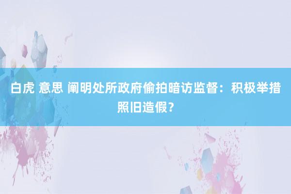 白虎 意思 阐明处所政府偷拍暗访监督：积极举措照旧造假？