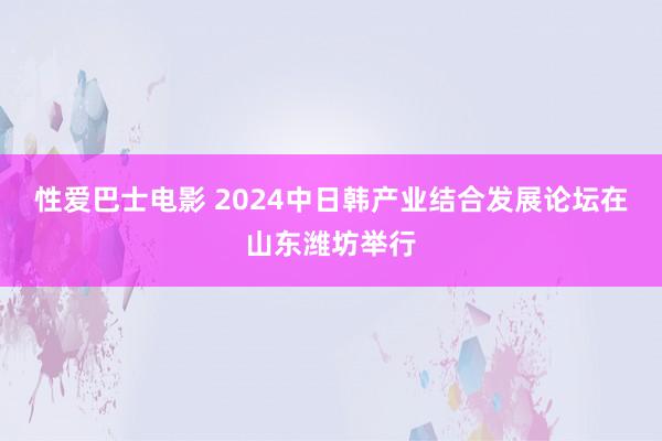 性爱巴士电影 2024中日韩产业结合发展论坛在山东潍坊举行