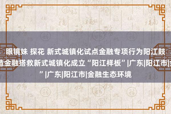 眼镜妹 探花 新式城镇化试点金融专项行为阳江鼓舞会召开 打造金融搭救新式城镇化成立“阳江样板”|广东|阳江市|金融生态环境