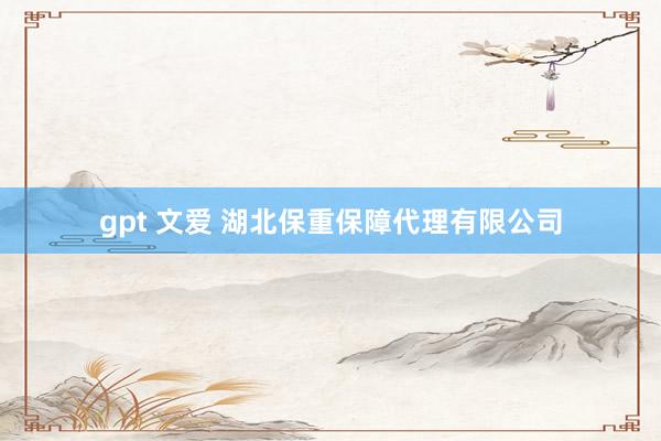 gpt 文爱 湖北保重保障代理有限公司