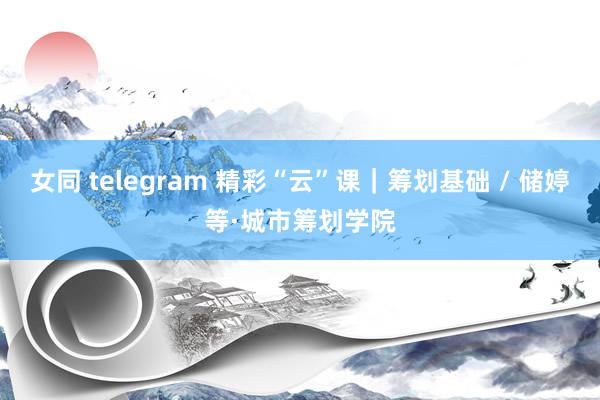 女同 telegram 精彩“云”课｜筹划基础 / 储婷等·城市筹划学院